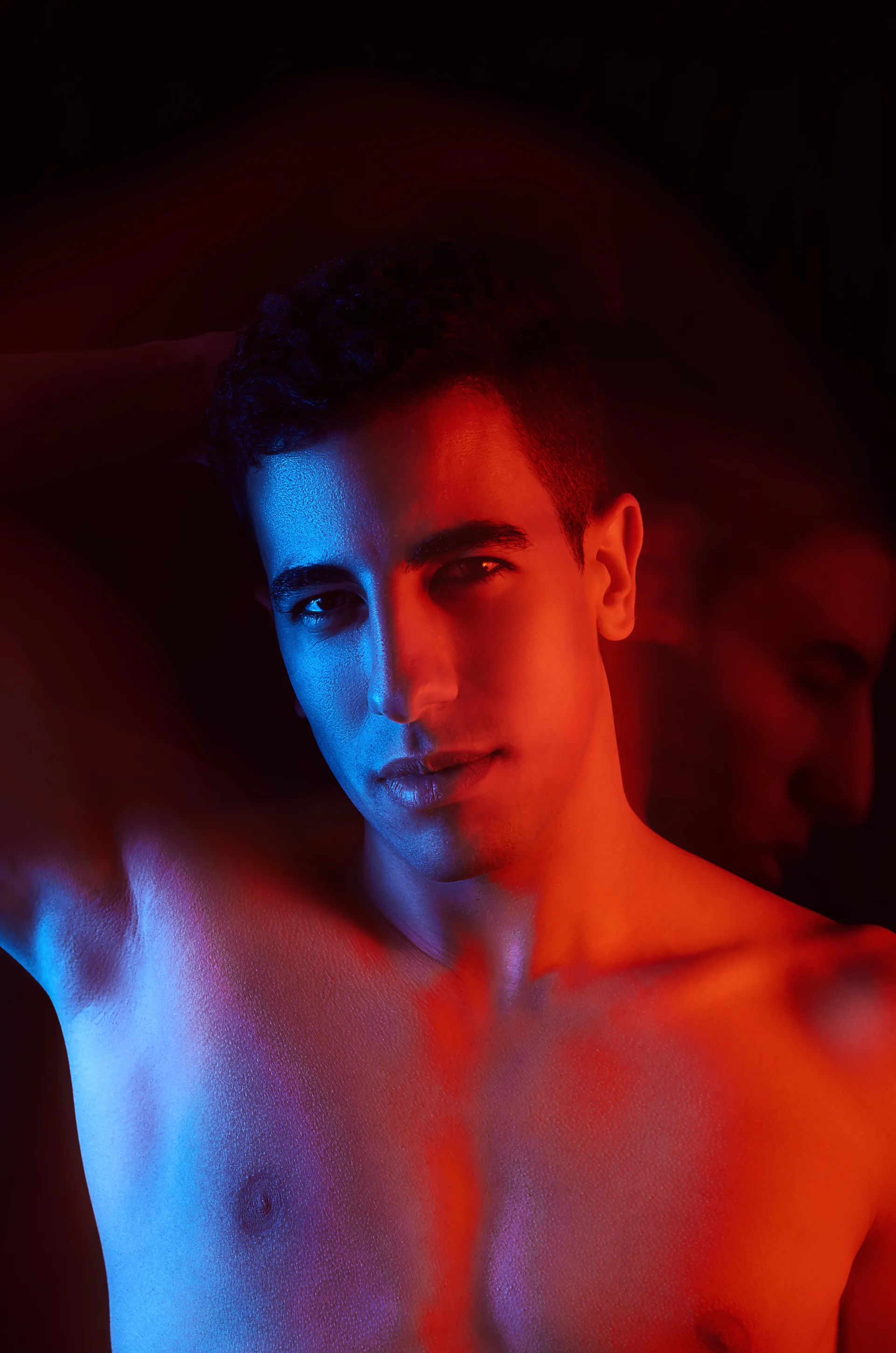 Gelled Portraits — image 4